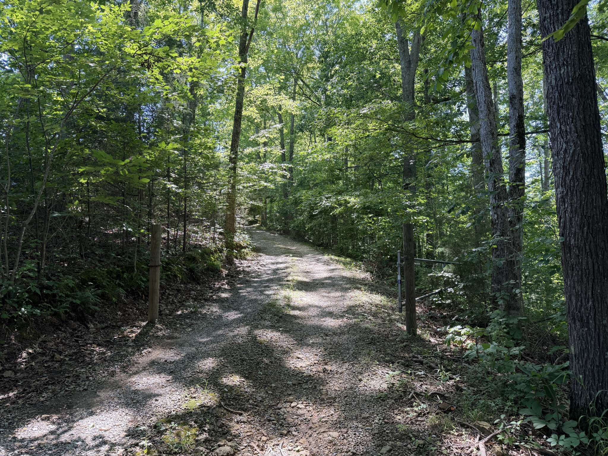 725 Calvert Ridge Road Westmoreland, TN 37186 - Photo 6 of 16