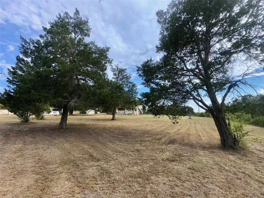 109 Wayside Drive Elgin, TX 78621 - Photo 5 of 31 a view of dirt yard with a tree