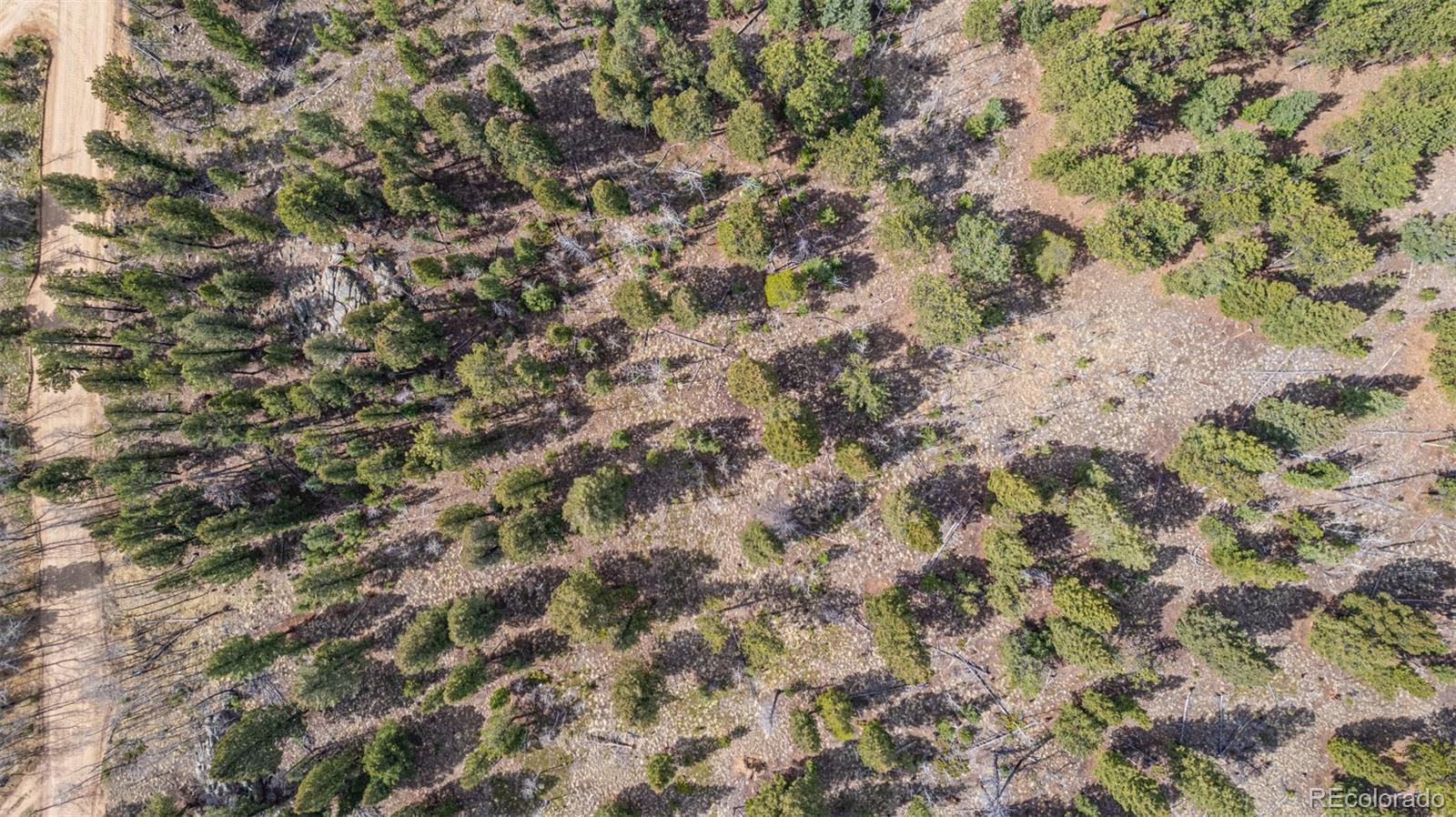 449 Forest Drive Bailey, CO 80421 - Photo 18 of 49 a view of a field