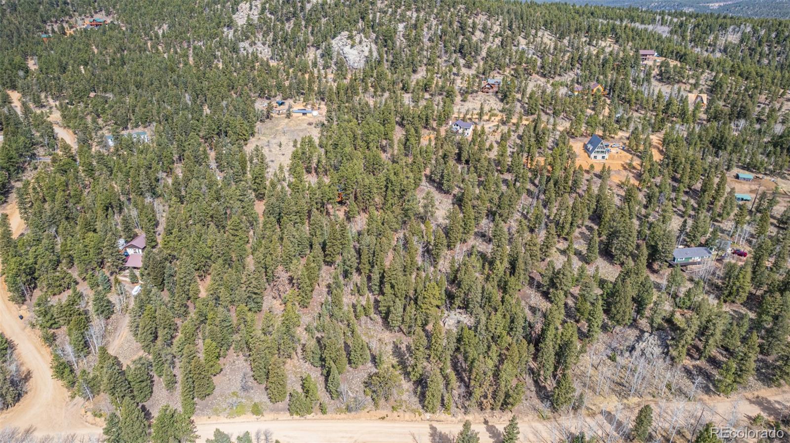 449 Forest Drive Bailey, CO 80421 - Photo 22 of 49 a view of yard