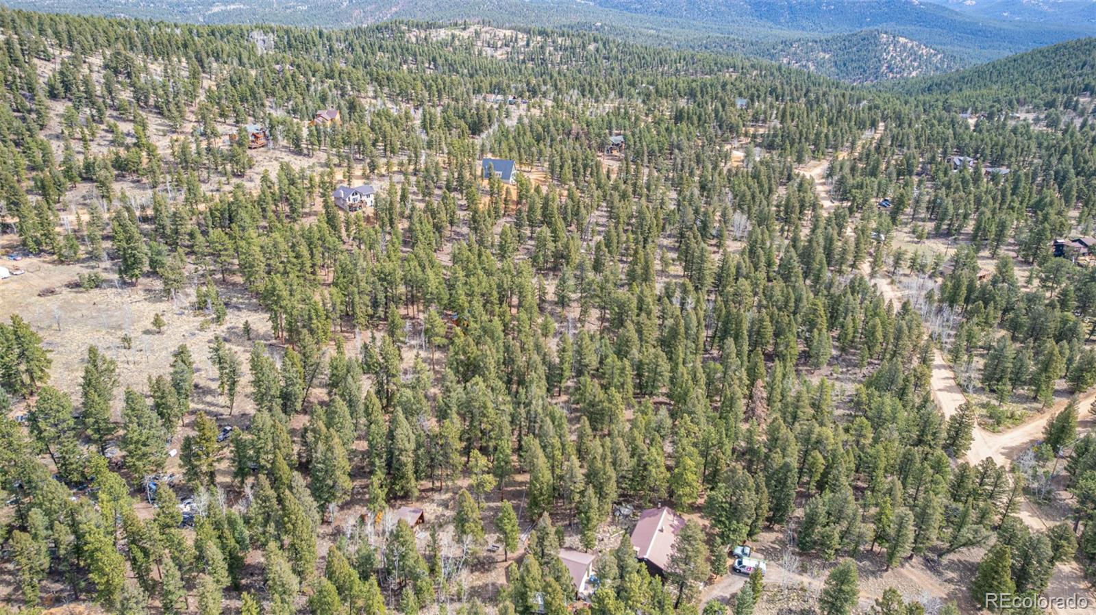 449 Forest Drive Bailey, CO 80421 - Photo 23 of 49 a view of residential houses with green space