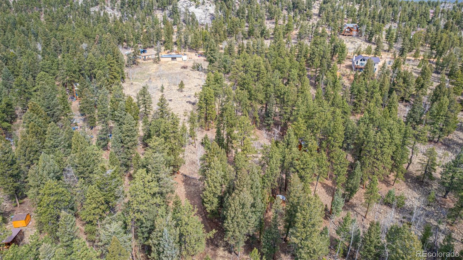 449 Forest Drive Bailey, CO 80421 - Photo 26 of 49