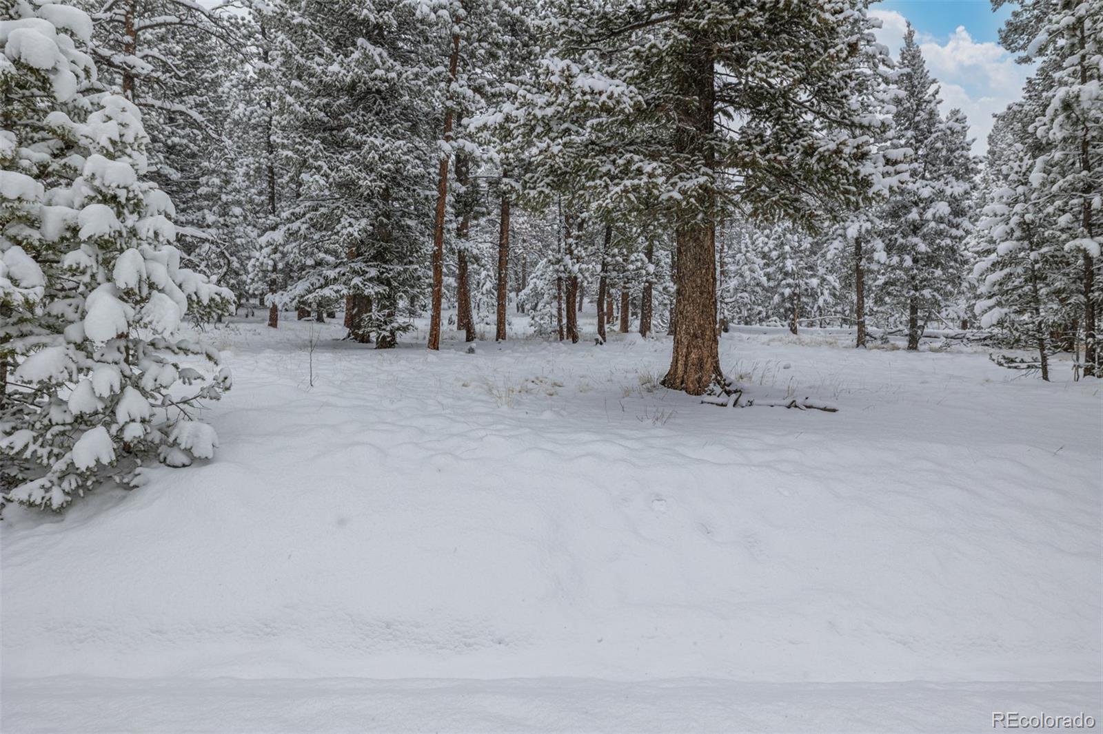 449 Forest Drive Bailey, CO 80421 - Photo 27 of 49 a view of outdoor space with trees