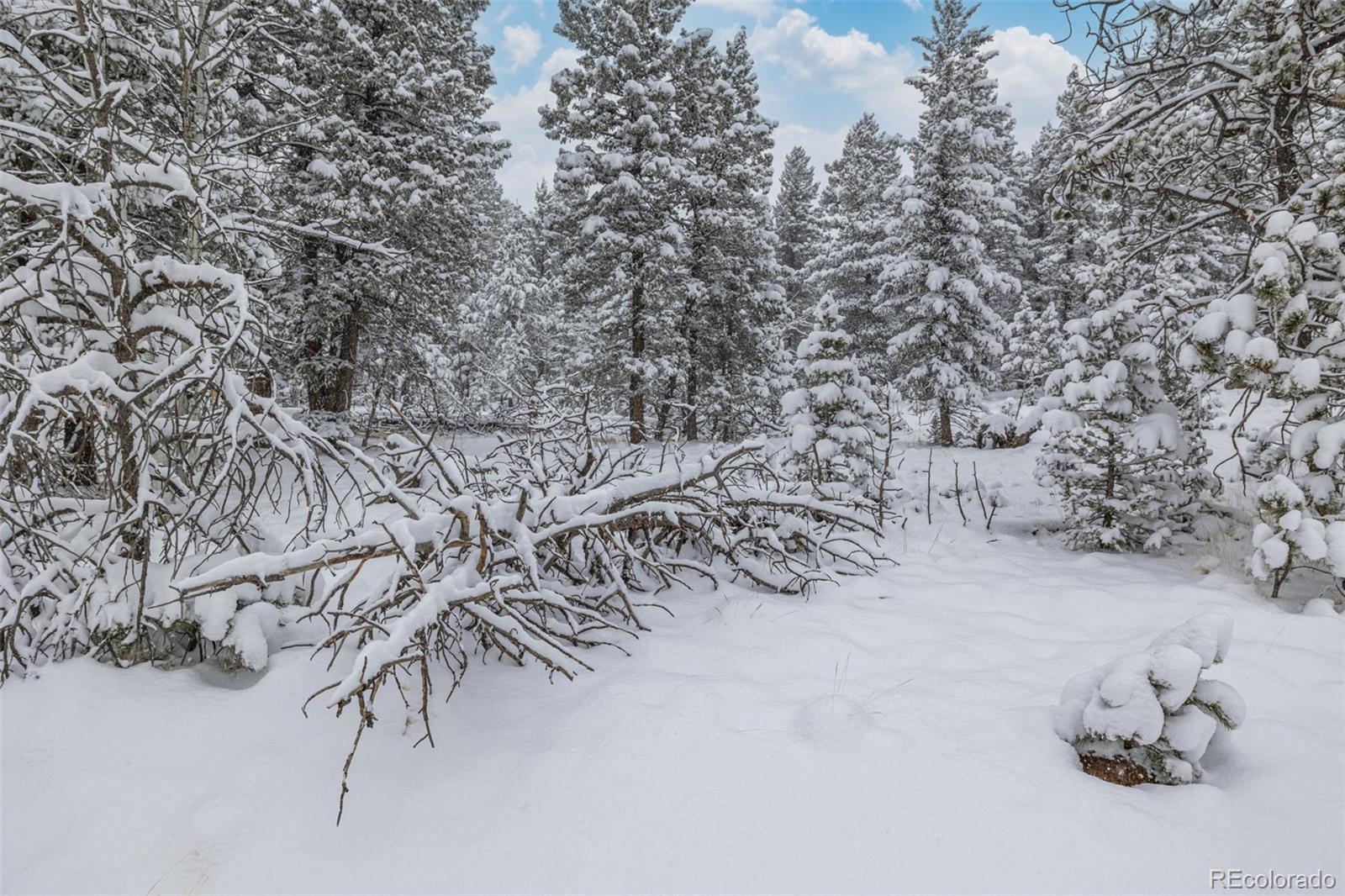 449 Forest Drive Bailey, CO 80421 - Photo 29 of 49 a view of swimming pool with a yard