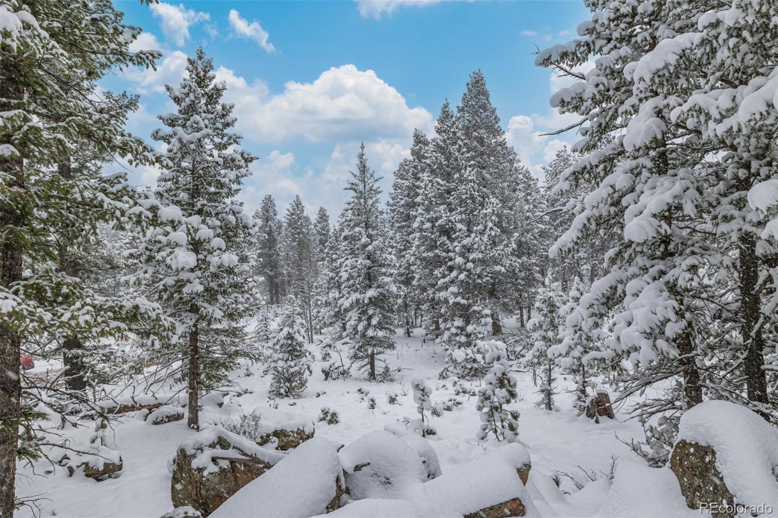 449 Forest Drive Bailey, CO 80421 - Photo 41 of 49 a view of a covered with snow on the road