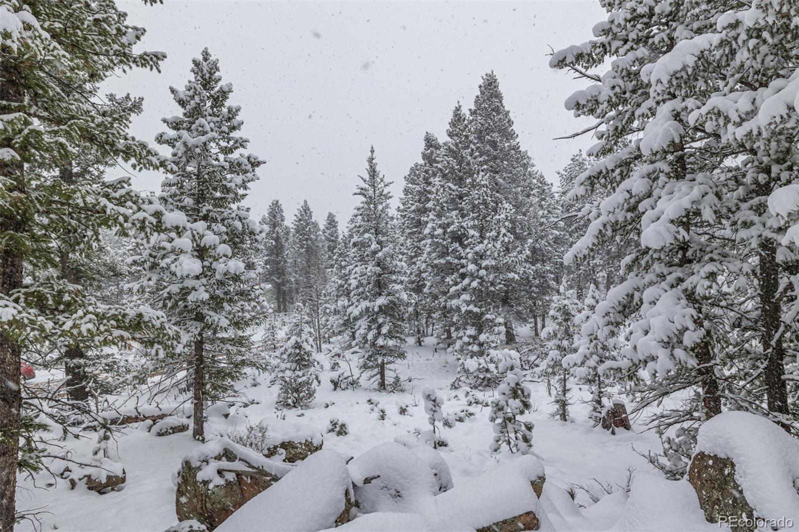 449 Forest Drive Bailey, CO 80421 - Photo 42 of 49 a view of a covered with snow in between of two and white house