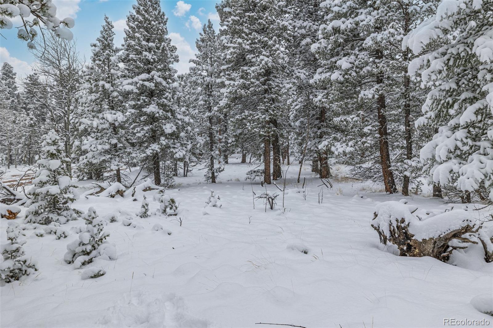 449 Forest Drive Bailey, CO 80421 - Photo 47 of 49 a view of white and covered with snow