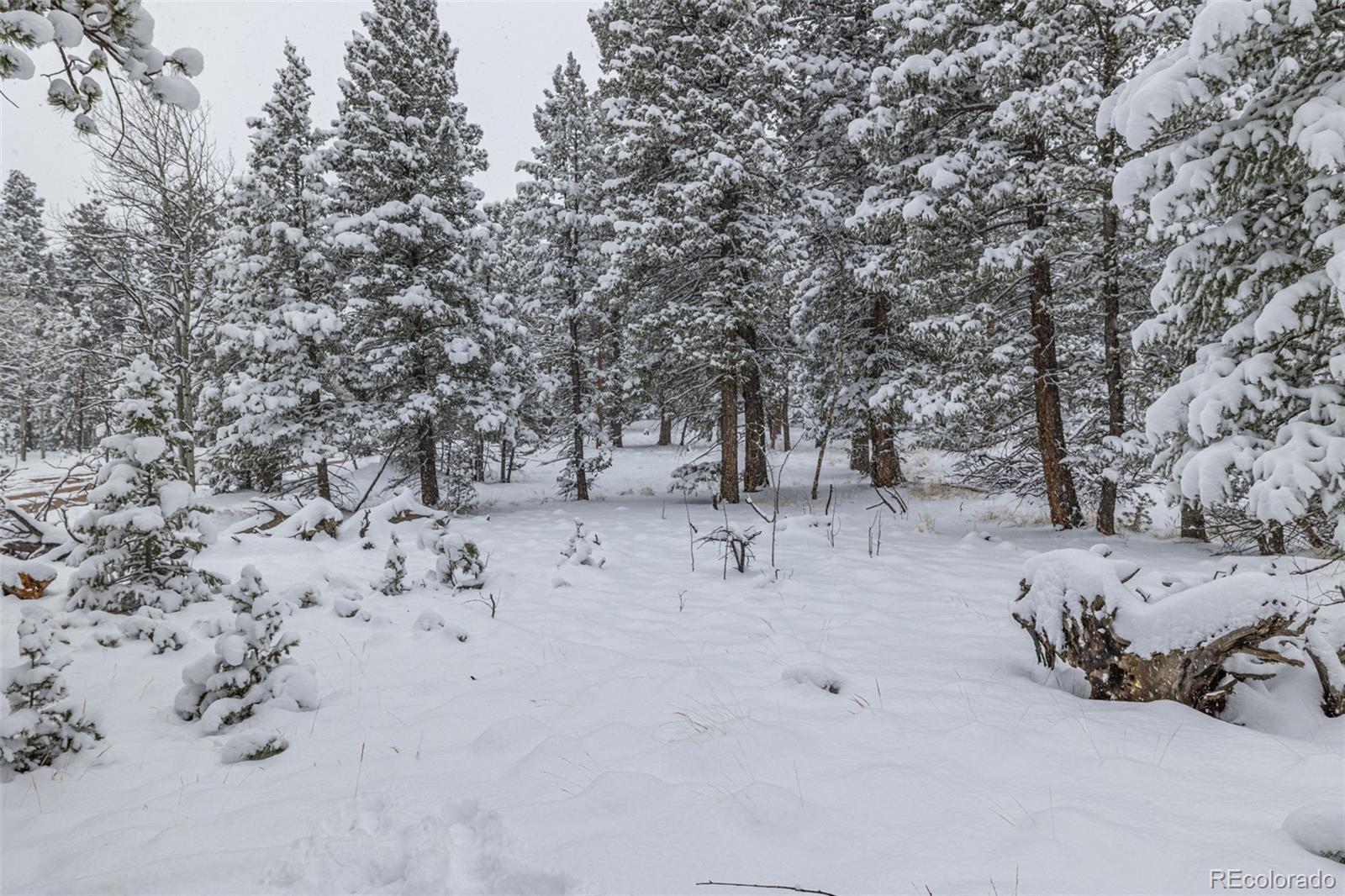 449 Forest Drive Bailey, CO 80421 - Photo 48 of 49