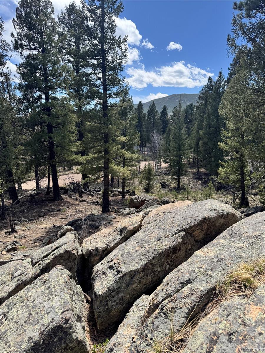 449 Forest Drive Bailey, CO 80421 - Photo 9 of 49 a view of a backyard of a house