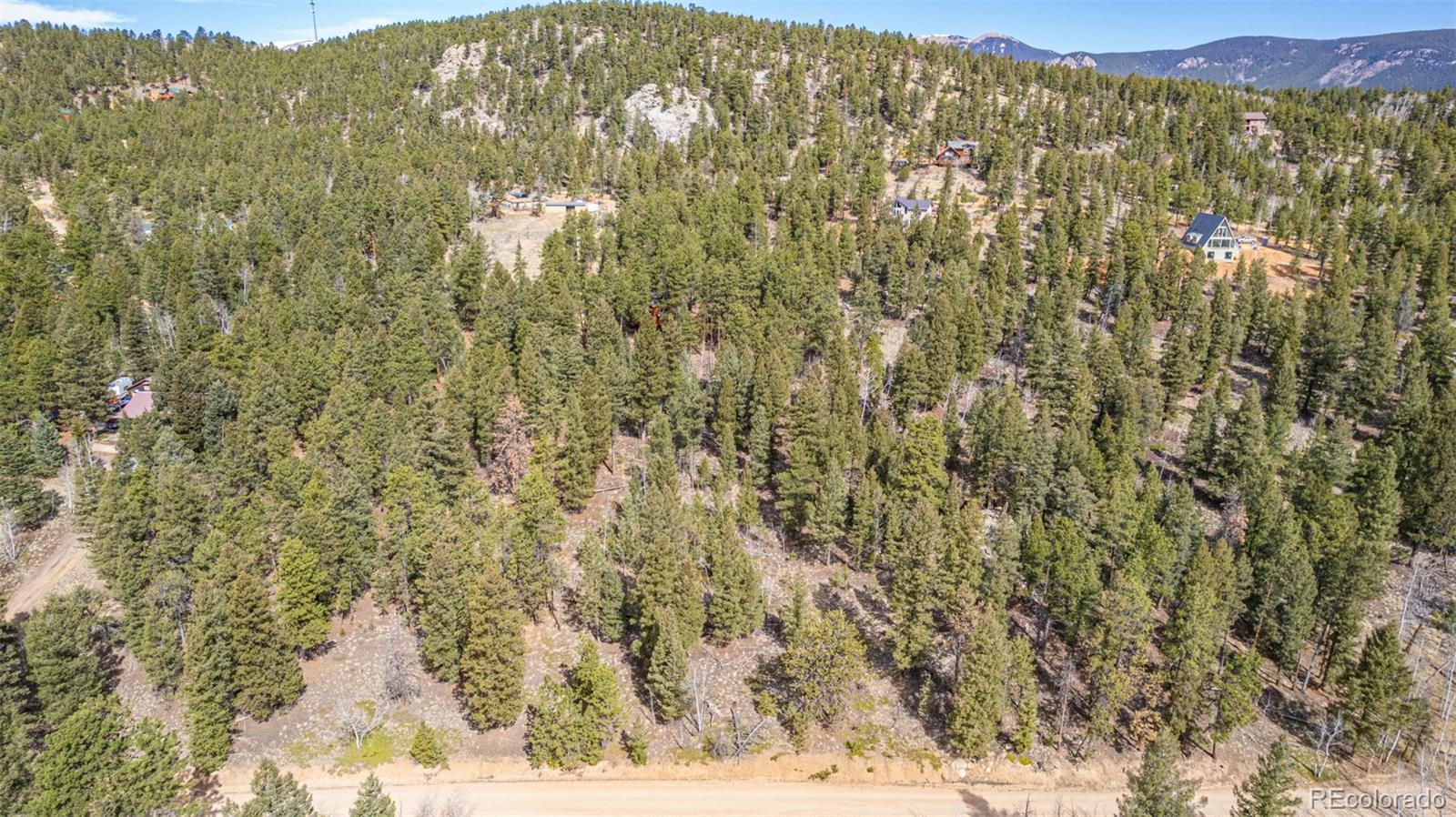 449 Forest Drive Bailey, CO 80421 - Photo 10 of 49 a view of a field