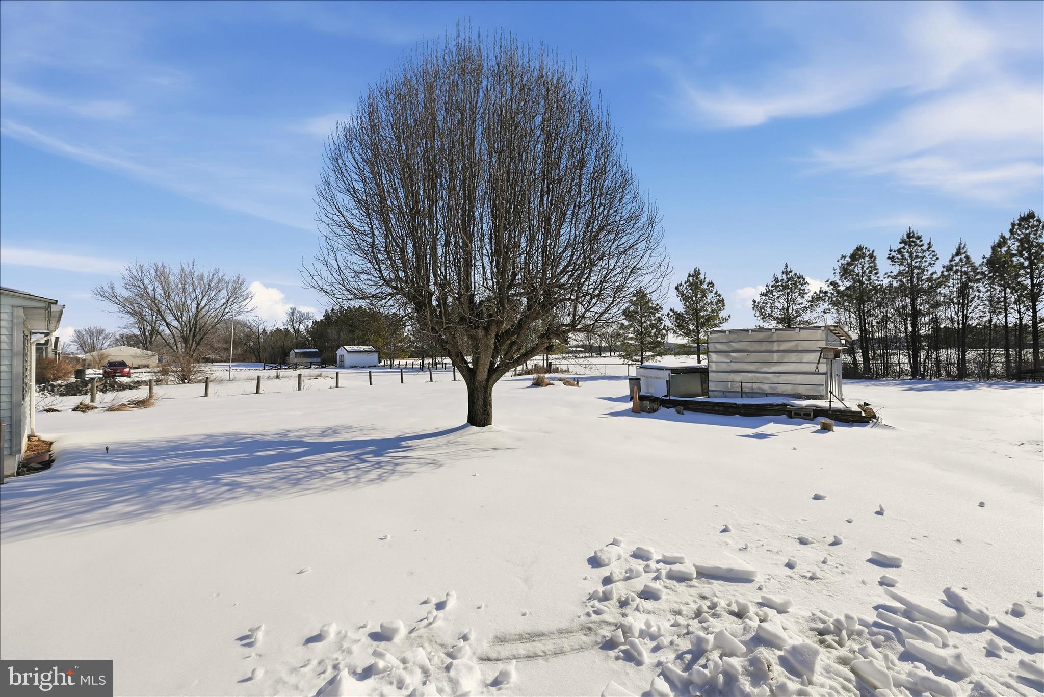 244 Gun Club Road Stephenson, VA 22656 - Photo 30 of 36 Backyard