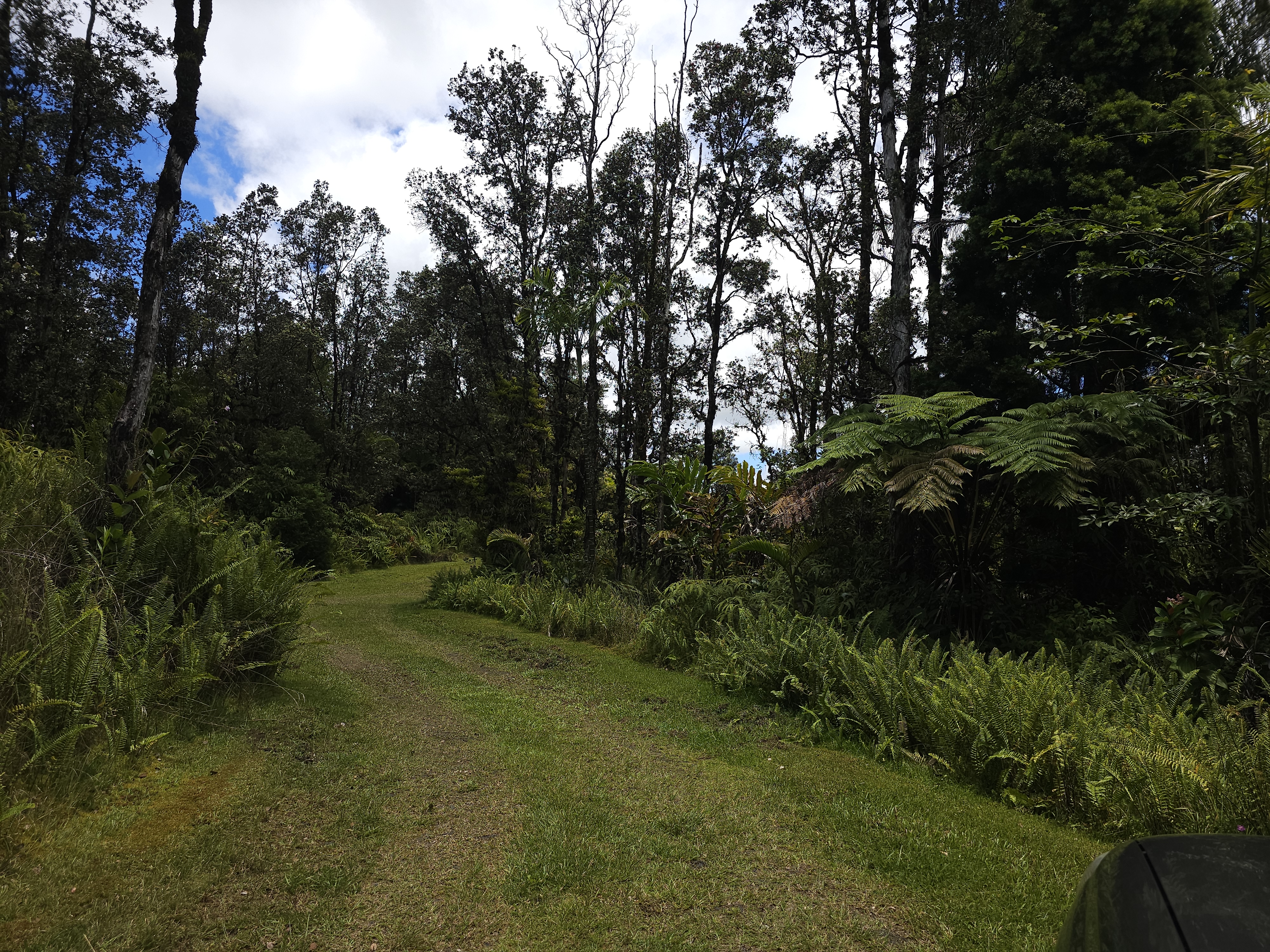 16-1266 Uhini Ana Road Pahoa, HI 96778 - Photo 4 of 28 Gallery Image 4