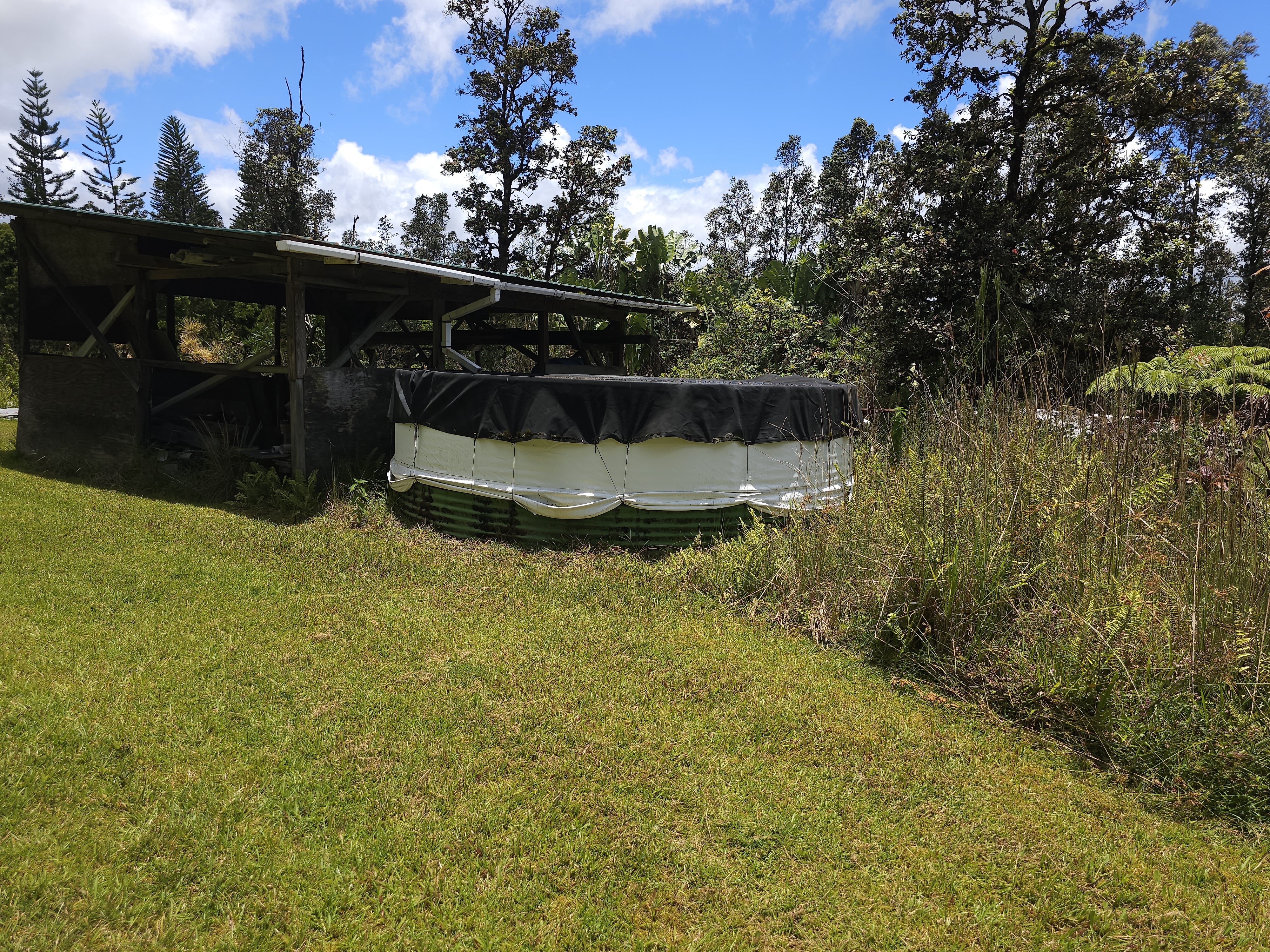 16-1266 Uhini Ana Road Pahoa, HI 96778 - Photo 5 of 28 Gallery Image 5