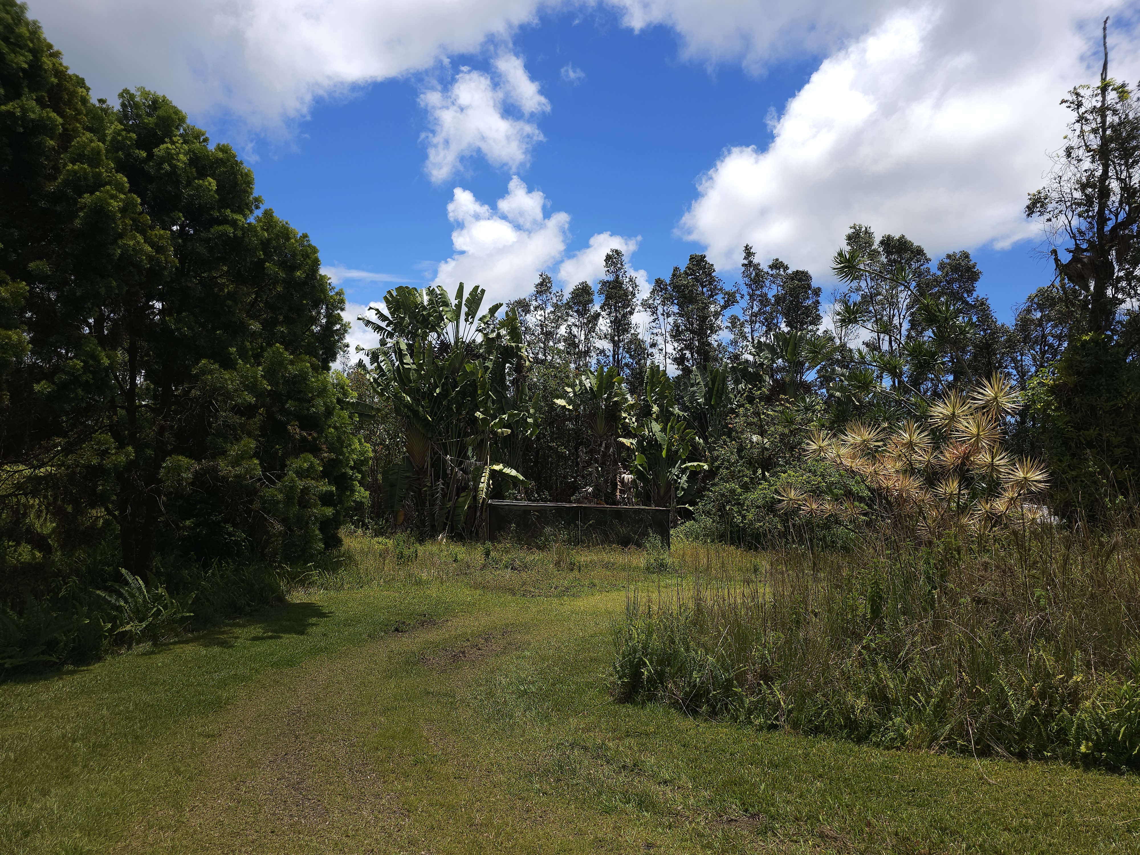 16-1266 Uhini Ana Road Pahoa, HI 96778 - Photo 7 of 28 Gallery Image 7