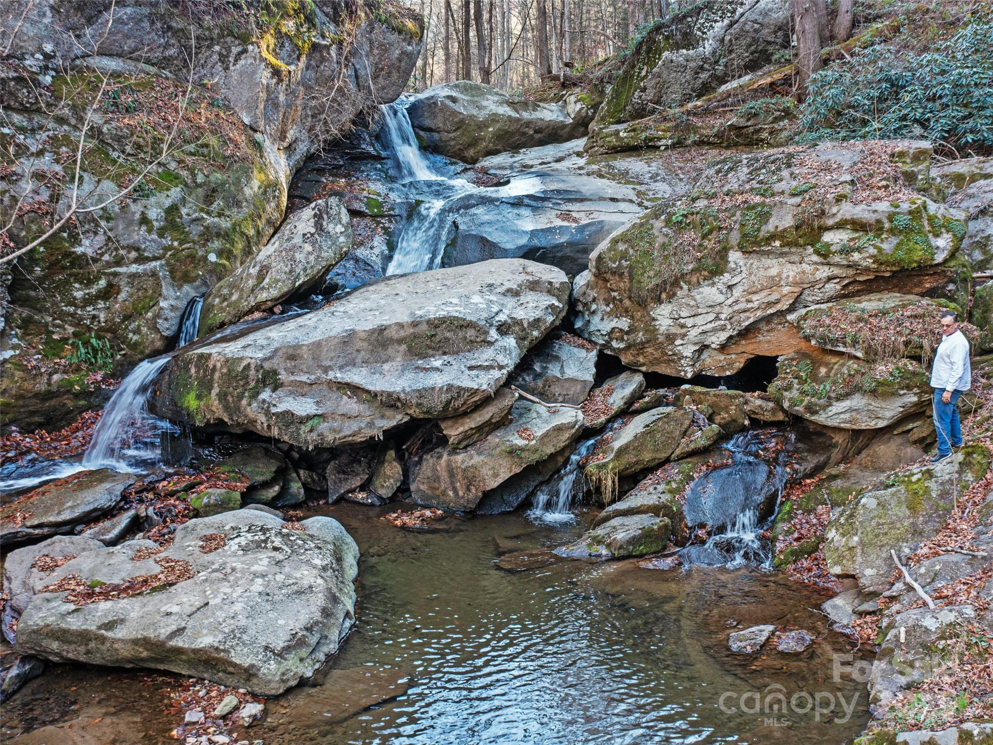 23 Katie's Road, Unit 145 95 ACRES Marshall, NC 28753 - Photo 2 of 48 a view of a backyard with furniture