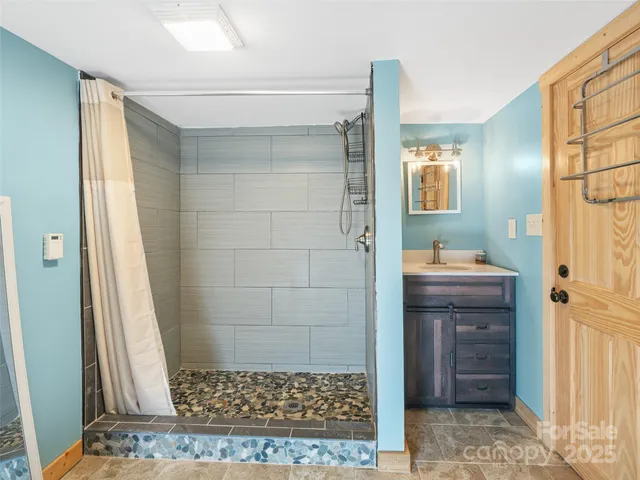 a bathroom with a sink a mirror and a shower