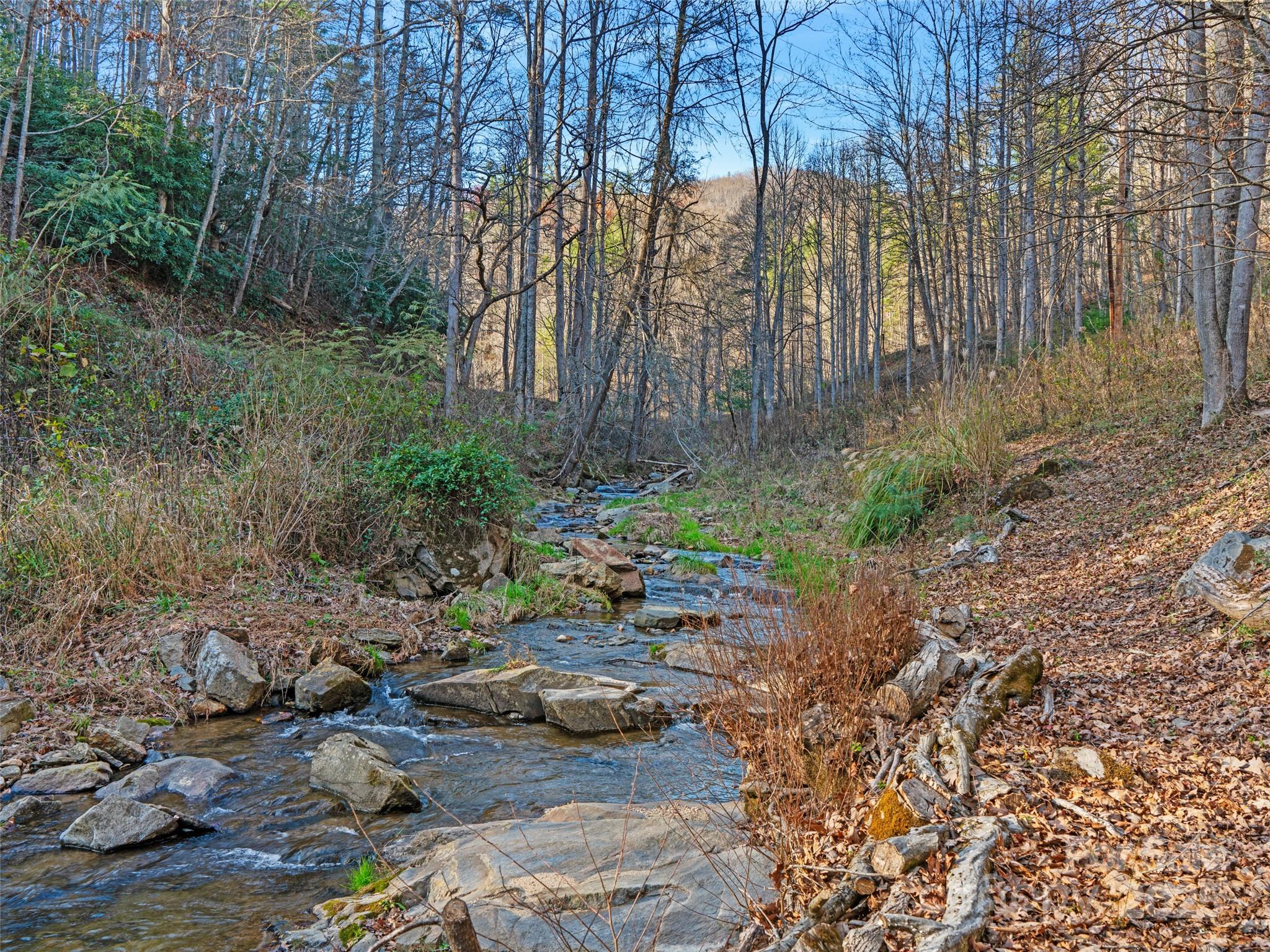 23 Katie's Road, Unit 145 95 ACRES Marshall, NC 28753 - Photo 40 of 48 a backyard of a house with lots of green space