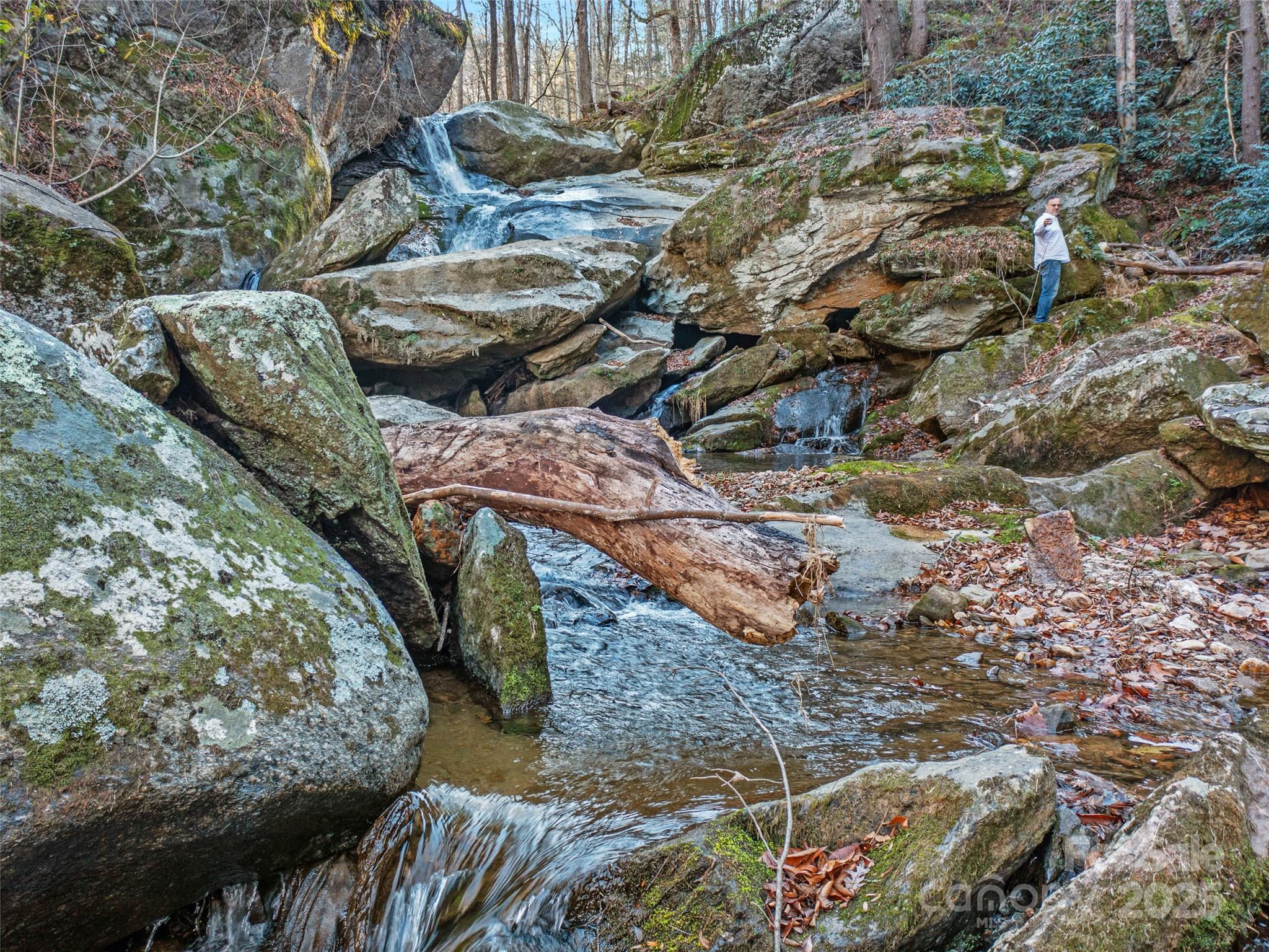 23 Katie's Road, Unit 145 95 ACRES Marshall, NC 28753 - Photo 4 of 48 a view of outdoor space