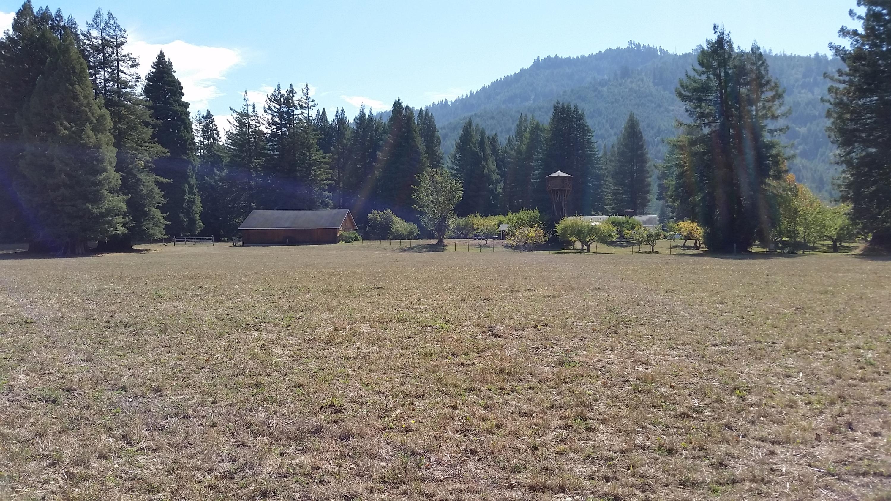 719 North Road Scotia, CA 95565 - Photo 46 of 51
