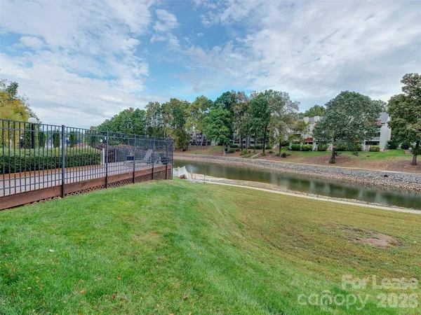 a view of a yard with a large trees