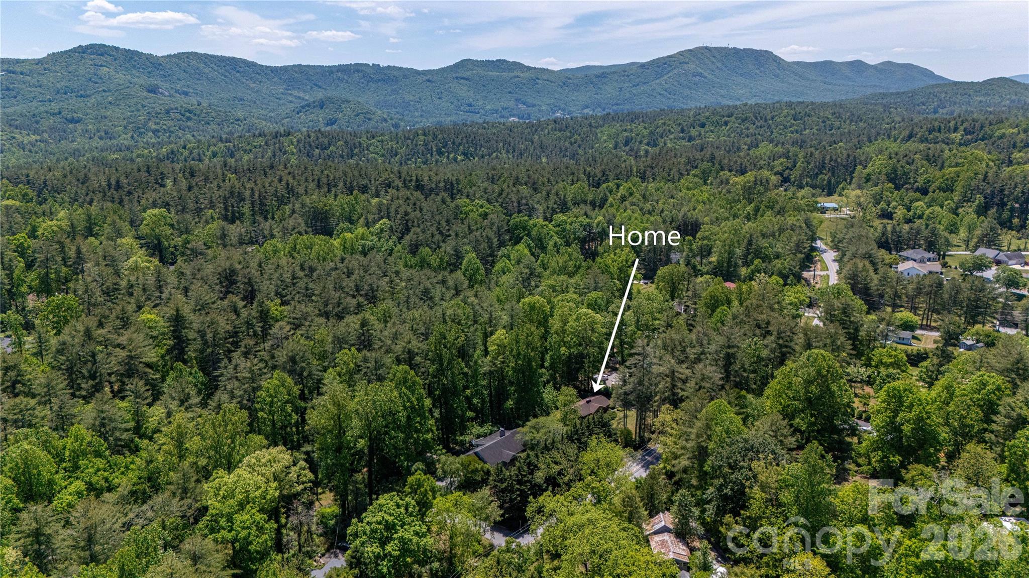 3004 Kanuga Road Hendersonville, NC 28739 - Photo 41 of 44