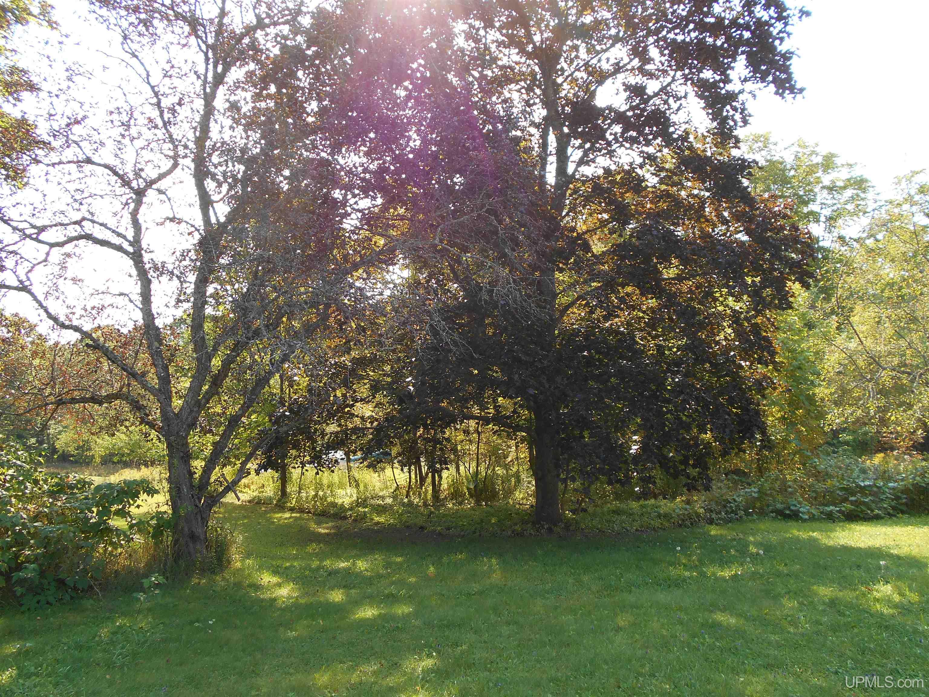 1931 W Quarry Road Gulliver, MI 49840 - Photo 32 of 44 Gallery Image 32