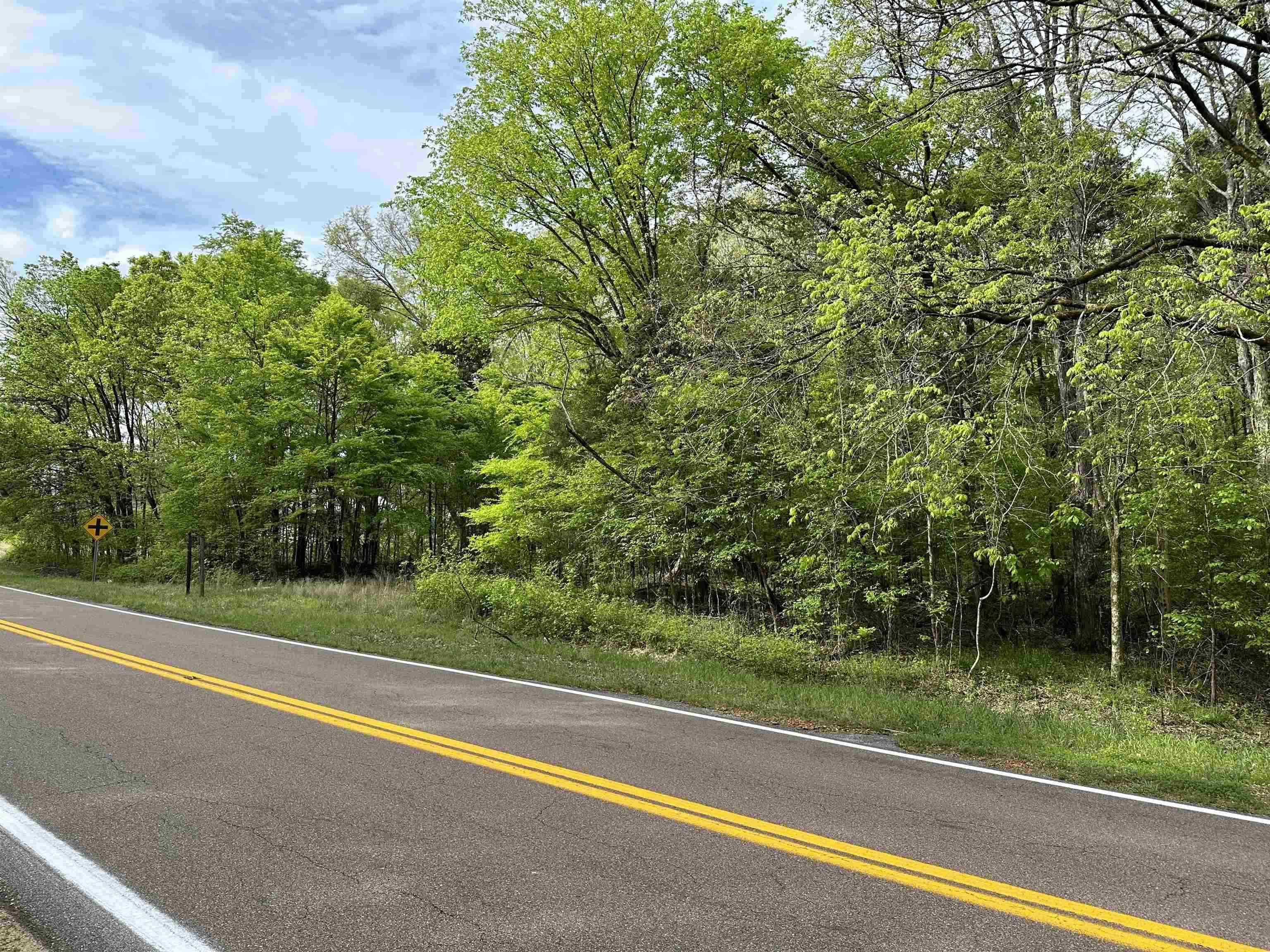 4491 Airline Road Arlington, TN 38002 - Photo 4 of 6 a view of a yard with a trees