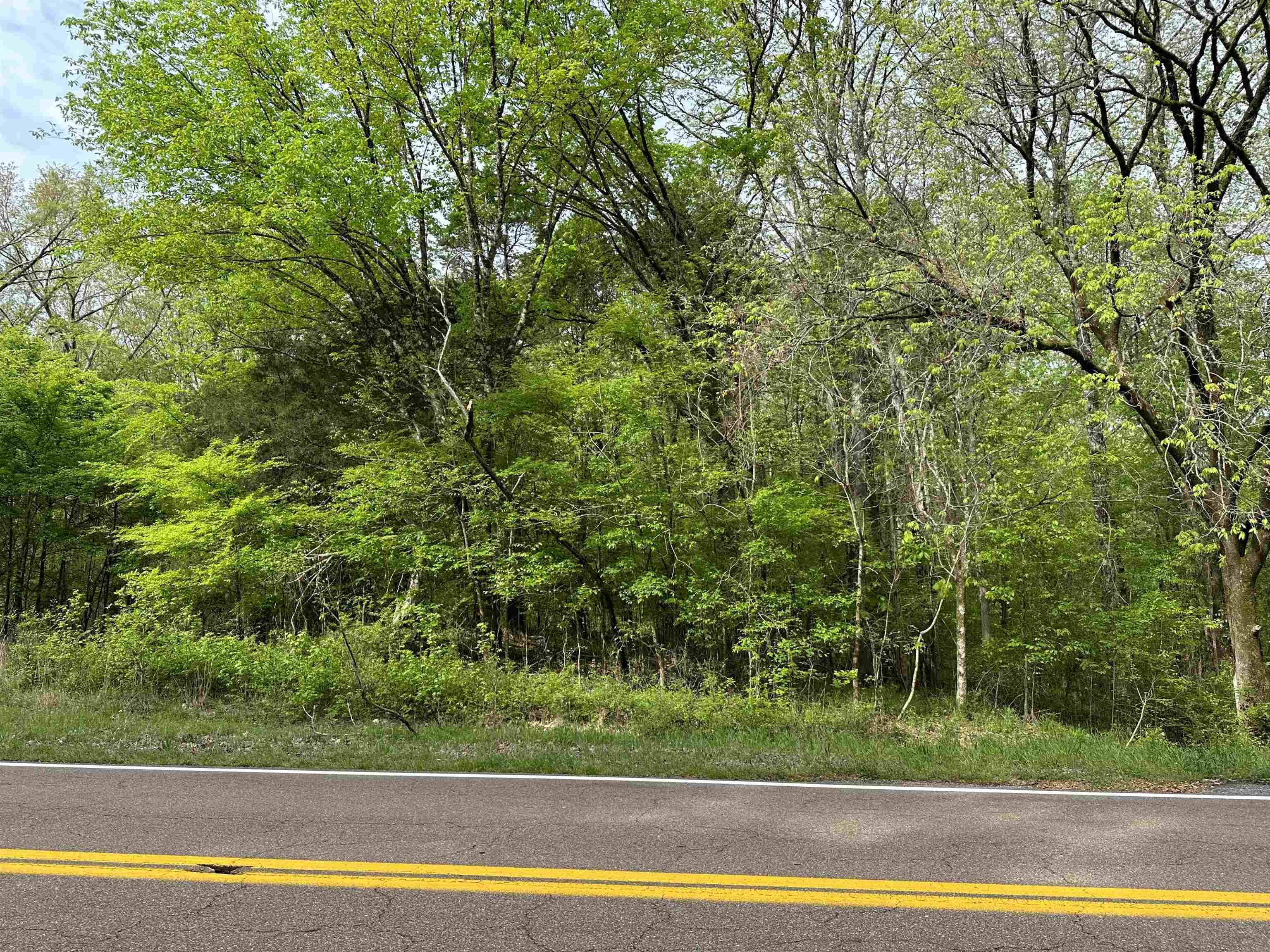4491 Airline Road Arlington, TN 38002 - Photo 5 of 6 a view of a yard with plants and large trees