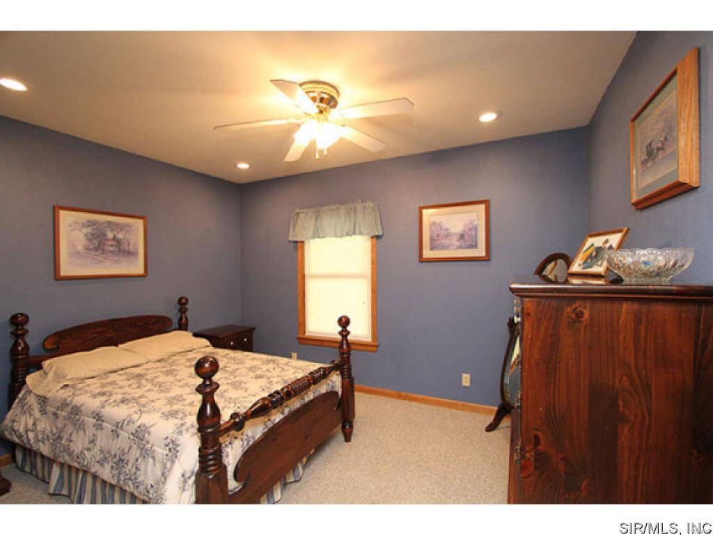 3915 Seiler Road Dorsey, IL 62021 - Photo 17 of 22