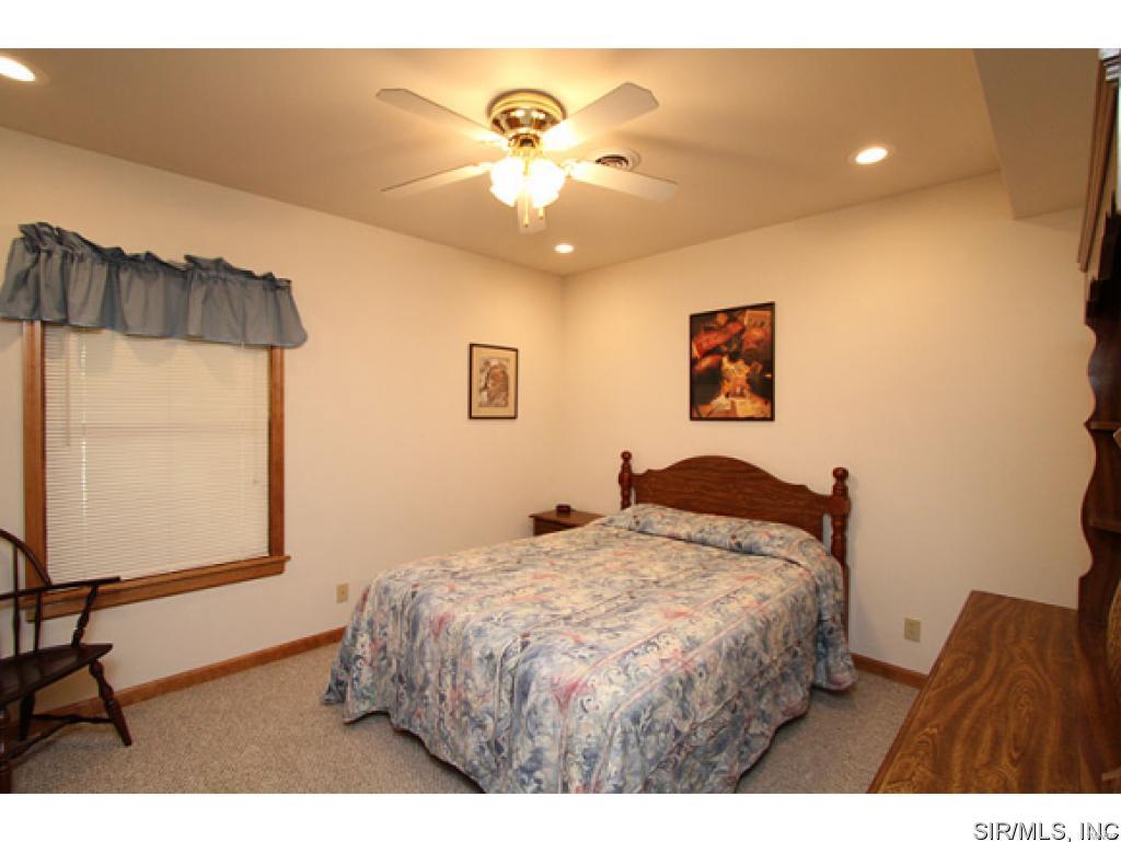3915 Seiler Road Dorsey, IL 62021 - Photo 18 of 22