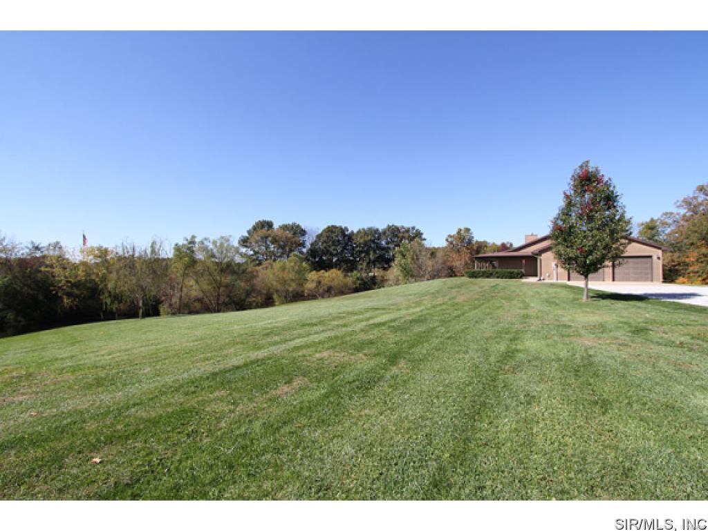 3915 Seiler Road Dorsey, IL 62021 - Photo 2 of 22