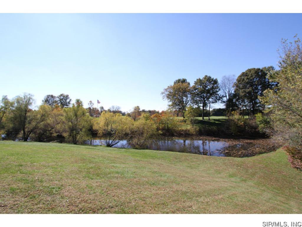 3915 Seiler Road Dorsey, IL 62021 - Photo 6 of 22