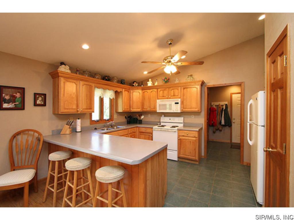 3915 Seiler Road Dorsey, IL 62021 - Photo 10 of 22