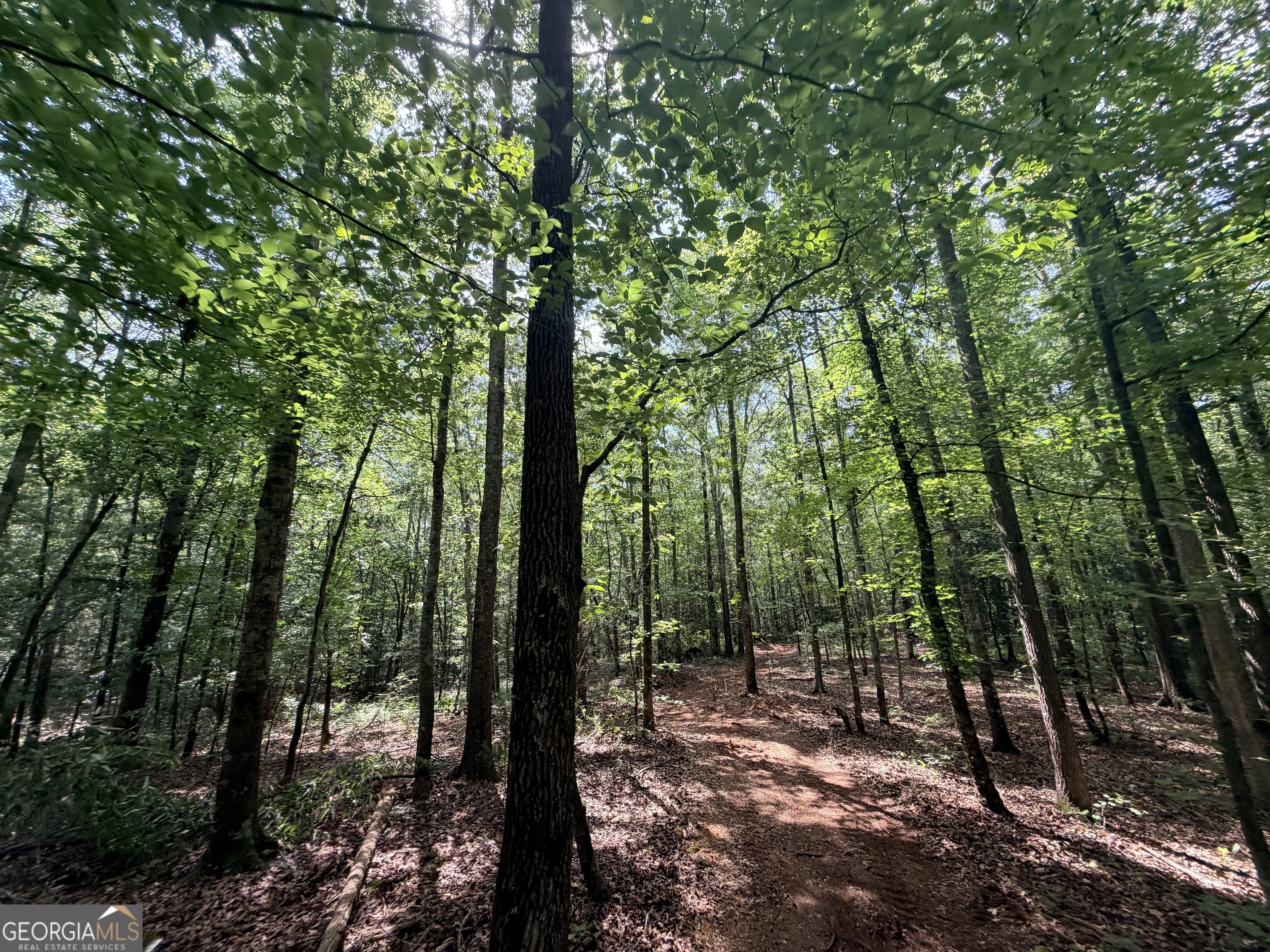 1590 James Adams Road Danielsville, GA 30633 - Photo 32 of 98