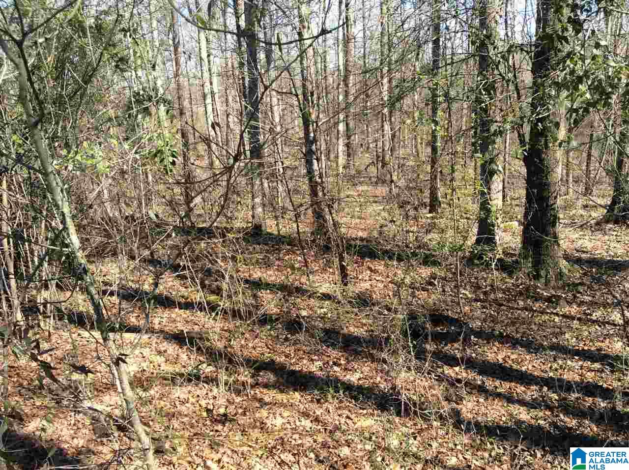 0 Coats Bend Road, Unit 1 Gadsden, AL 35901 - Photo 14 of 20