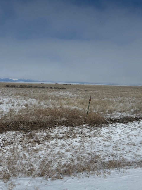 Nhn Antelope Road Shawmut, MT 59078 - Photo 3 of 5 Gallery Image 3