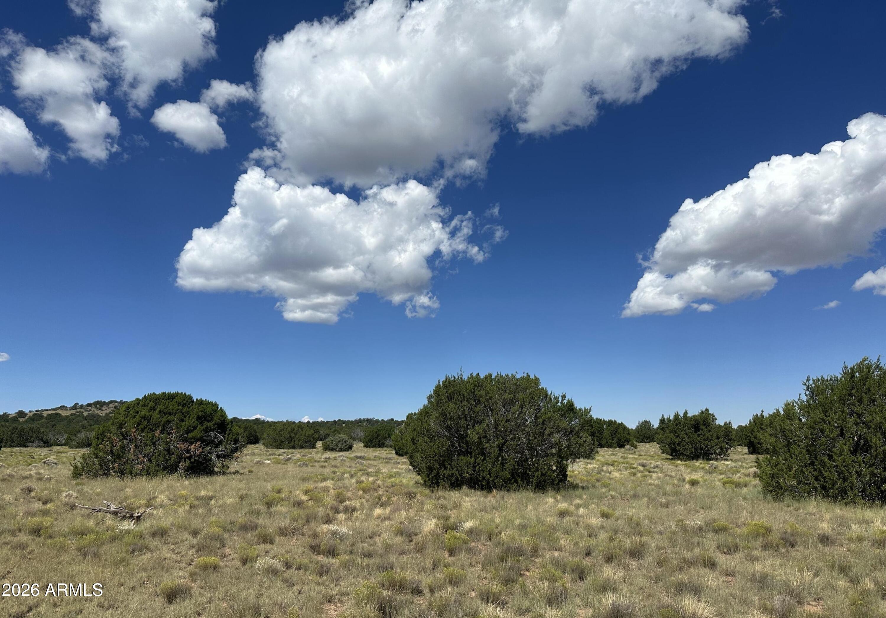 47 County Road Vernon, AZ 85940 - Photo 11 of 18 47 County Rd N3110