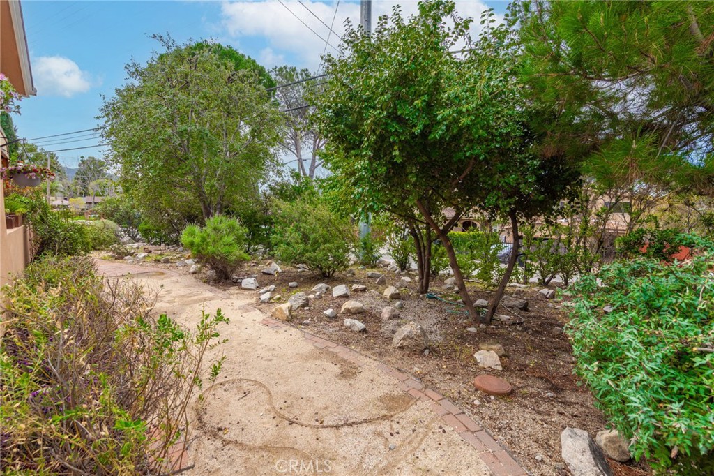 10424 Big Tujunga Canyon Road Tujunga, CA 91042 - Photo 5 of 57 a view of a yard with plants and trees
