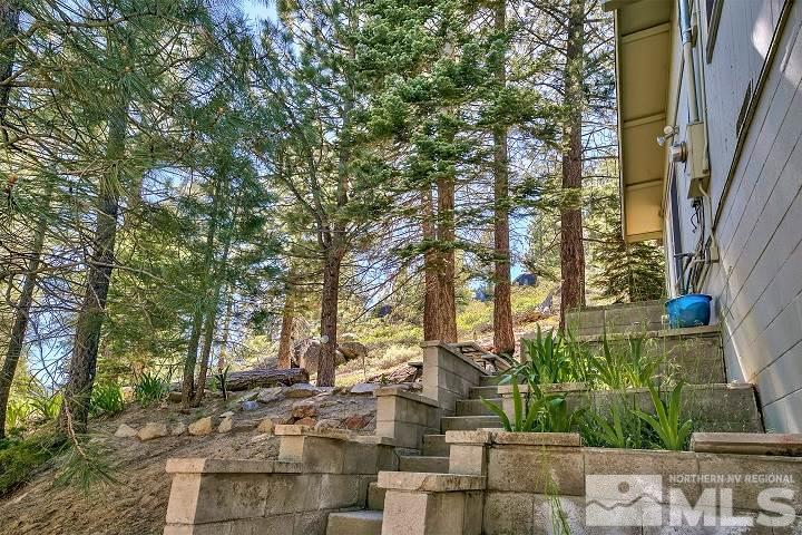 252 North Benjamin Drive Stateline, NV 89449 - Photo 4 of 19 a view of a yard with plants and trees