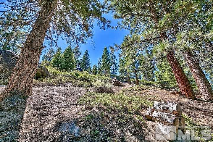 252 North Benjamin Drive Stateline, NV 89449 - Photo 7 of 19 a view of a forest with trees