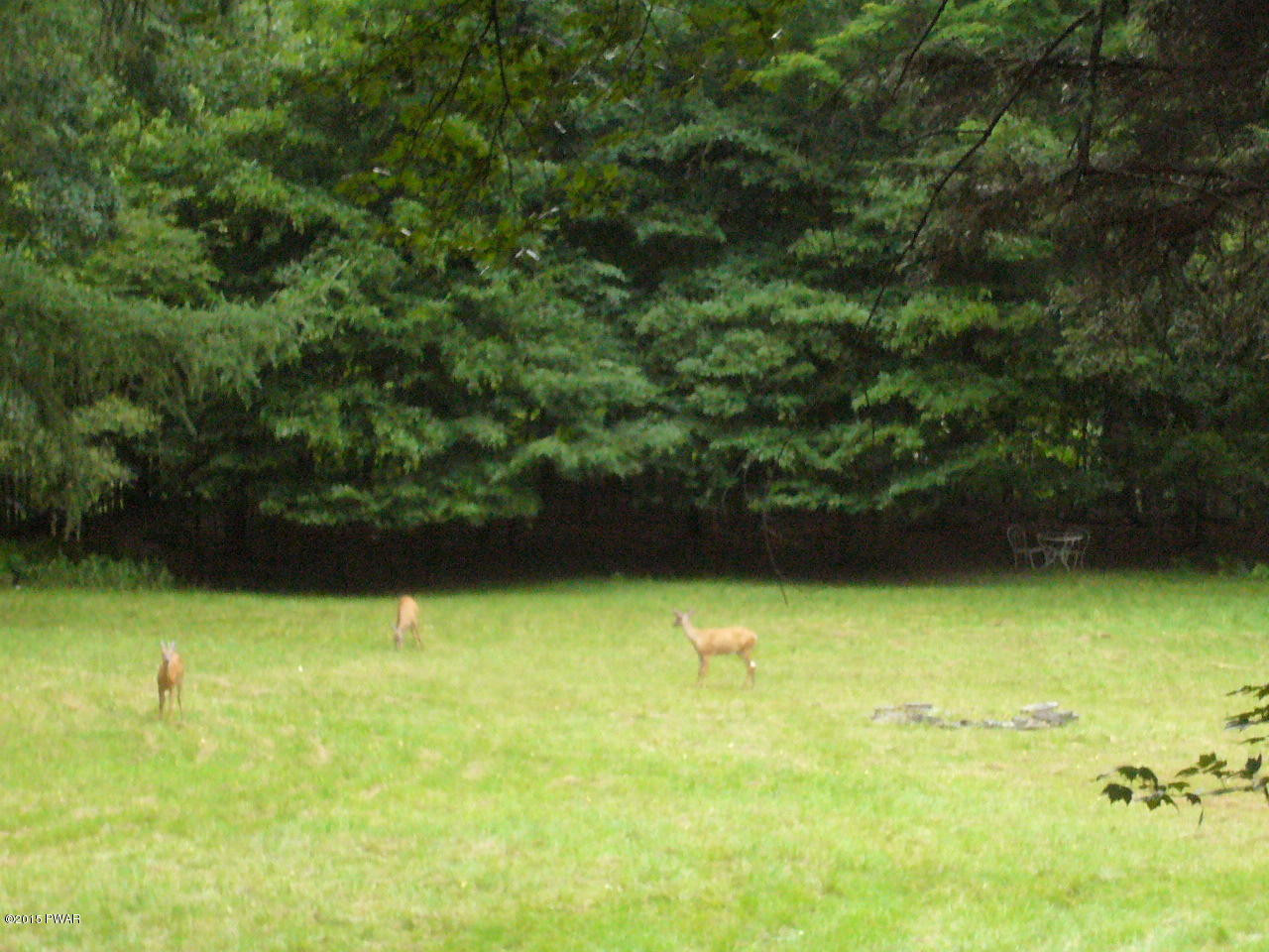 215 O And W Road Fishs Eddy, NY 13774 - Photo 5 of 43 Gallery Image 5