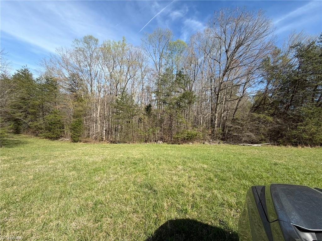 3.04 Ayers Road Pinnacle, NC 27043 - Photo 3 of 35