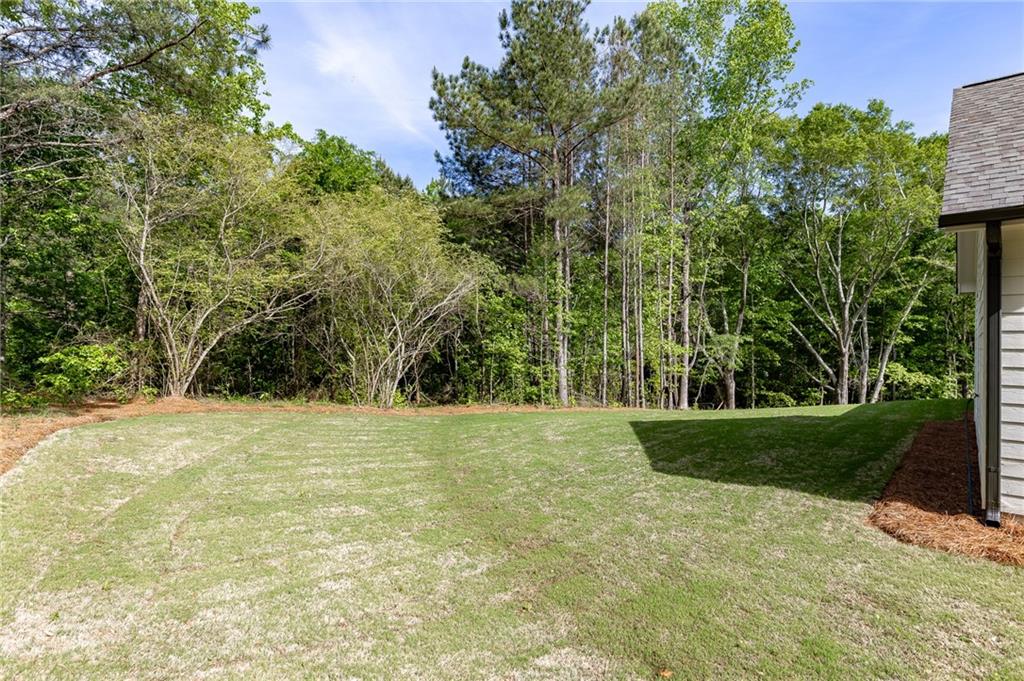 1210 Austin Road Winder, GA 30680 - Photo 53 of 56 a view of outdoor space and yard