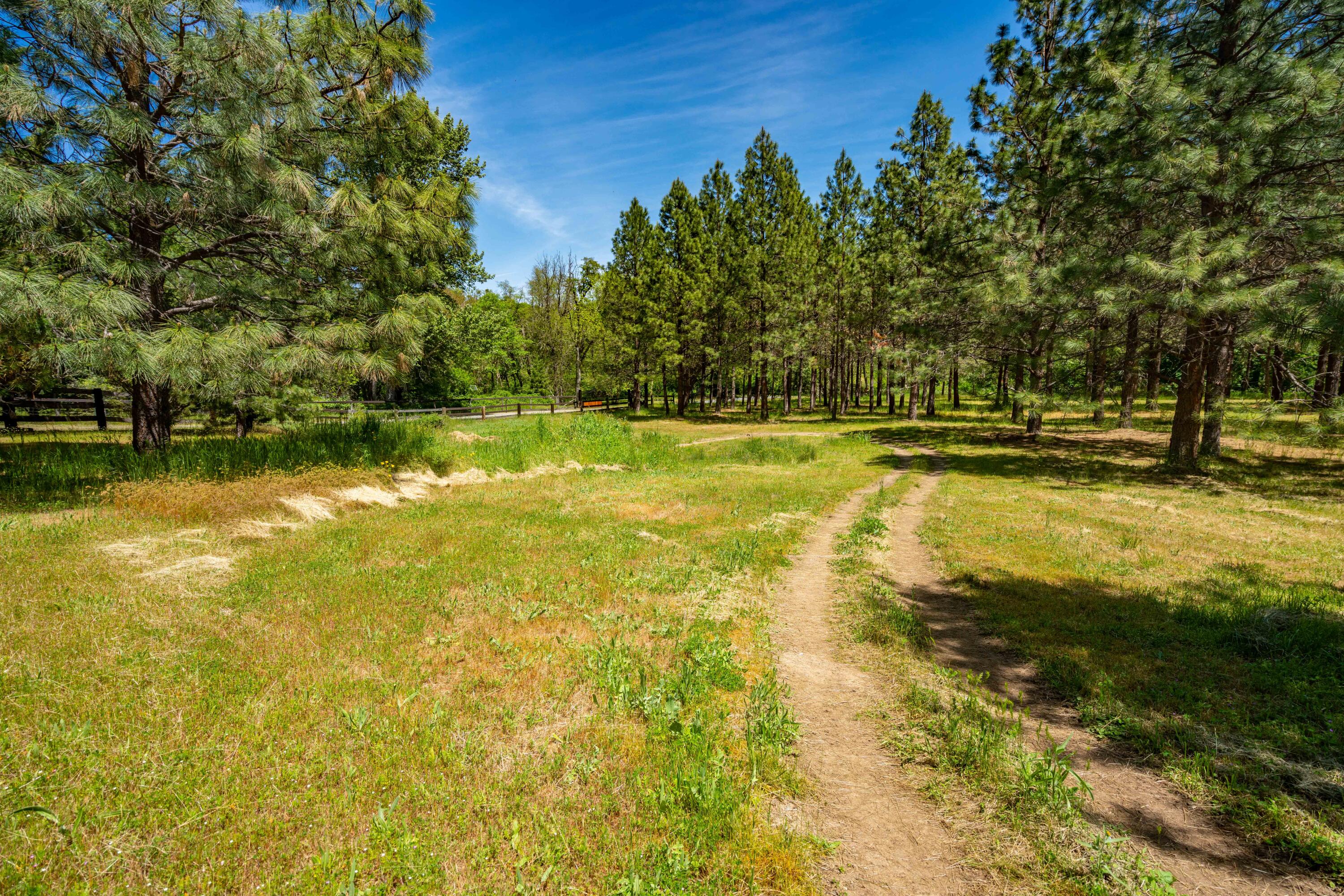 4137 Thompson Creek Road Jacksonville, OR 97530 - Photo 54 of 62 32