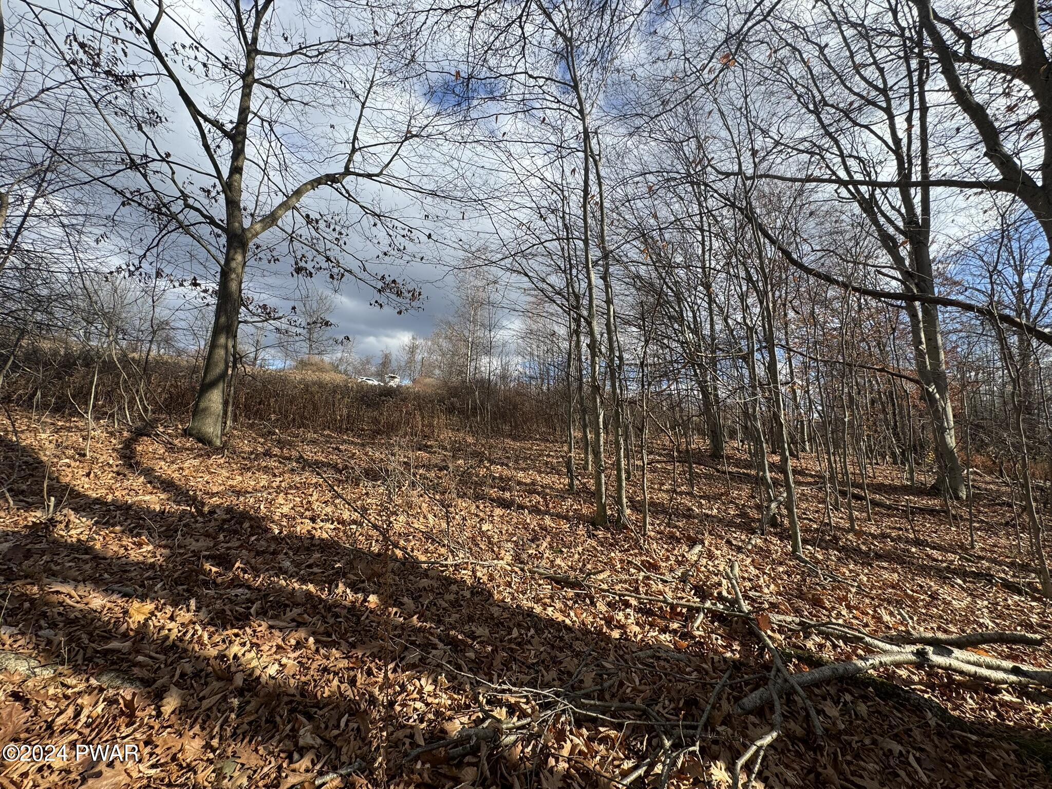 402 Jubinsky Road Waymart, PA 18472 - Photo 13 of 30 9.5 Acres Fields/Wooded
