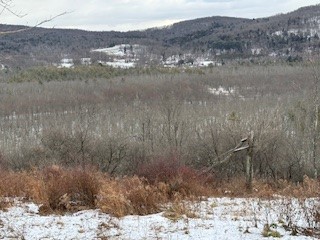 3010 Kelly Road Brookfield, NY 13355 - Photo 19 of 48