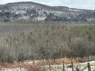 3010 Kelly Road Brookfield, NY 13355 - Photo 21 of 48