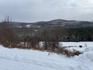 3010 Kelly Road Brookfield, NY 13355 - Photo 22 of 48