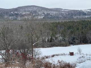 3010 Kelly Road Brookfield, NY 13355 - Photo 24 of 48