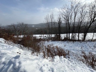 3010 Kelly Road Brookfield, NY 13355 - Photo 38 of 48